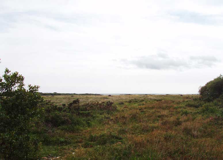 Die urt&uuml;mliche Heidelandschaft von Goonhilly Downs auf Lizard